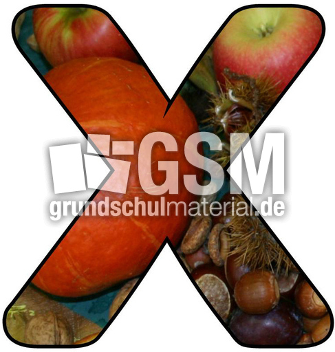 Herbstbuchstabe-3-X.jpg